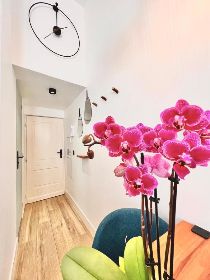 Duplex Le Gesu - Heart Of Old Town - Modern - Wifi - Clim Apartment Nice Bagian luar foto